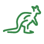 Icon kangaroo 01