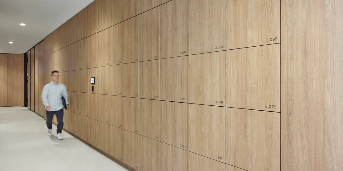 Lock In Lockers RHM 11